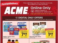 Acme acmesp Flyer