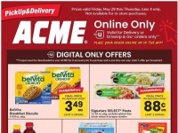 Acme acmesp Flyer