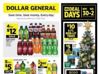 Dollar General (Special Offer - FL) Flyer