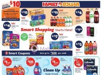 Family Dollar circular Flyer