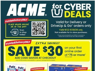 Acme acmesp Flyer