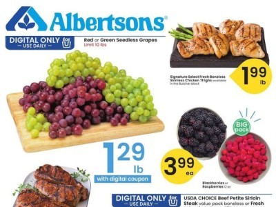 Albertsons albertsonsintermountain Flyer