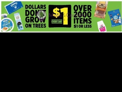 Dollar General circular Flyer