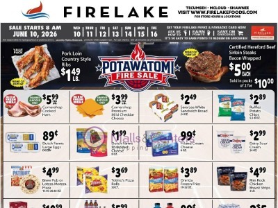 FireLake Discount Foods Current Ad Flyer
