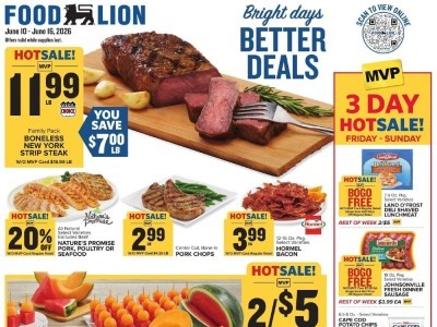 Food Lion weekly Flyer