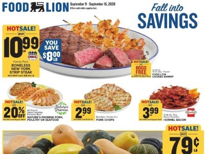 Food Lion weekly Flyer