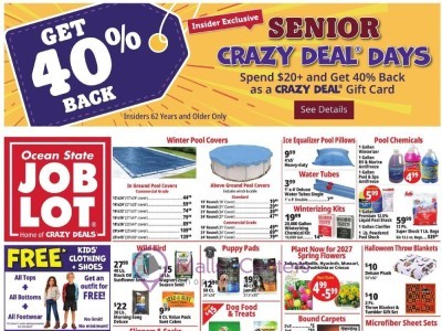 Ocean State Job Lot weekly Flyer