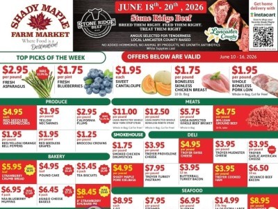 Shady Maple Flyer