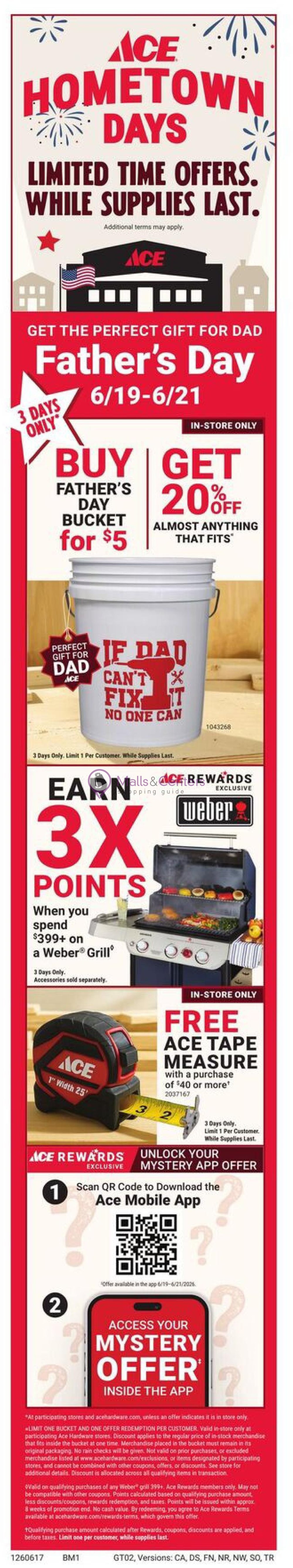 Weekly ad for Ace Hardware valid: 06/17/2026 - 06/30/2026, page 3