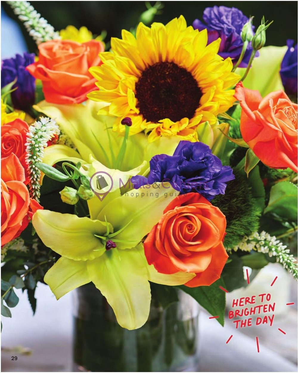 Weekly ad for Acme valid: 01/01/2024 - 12/31/2024, page 31