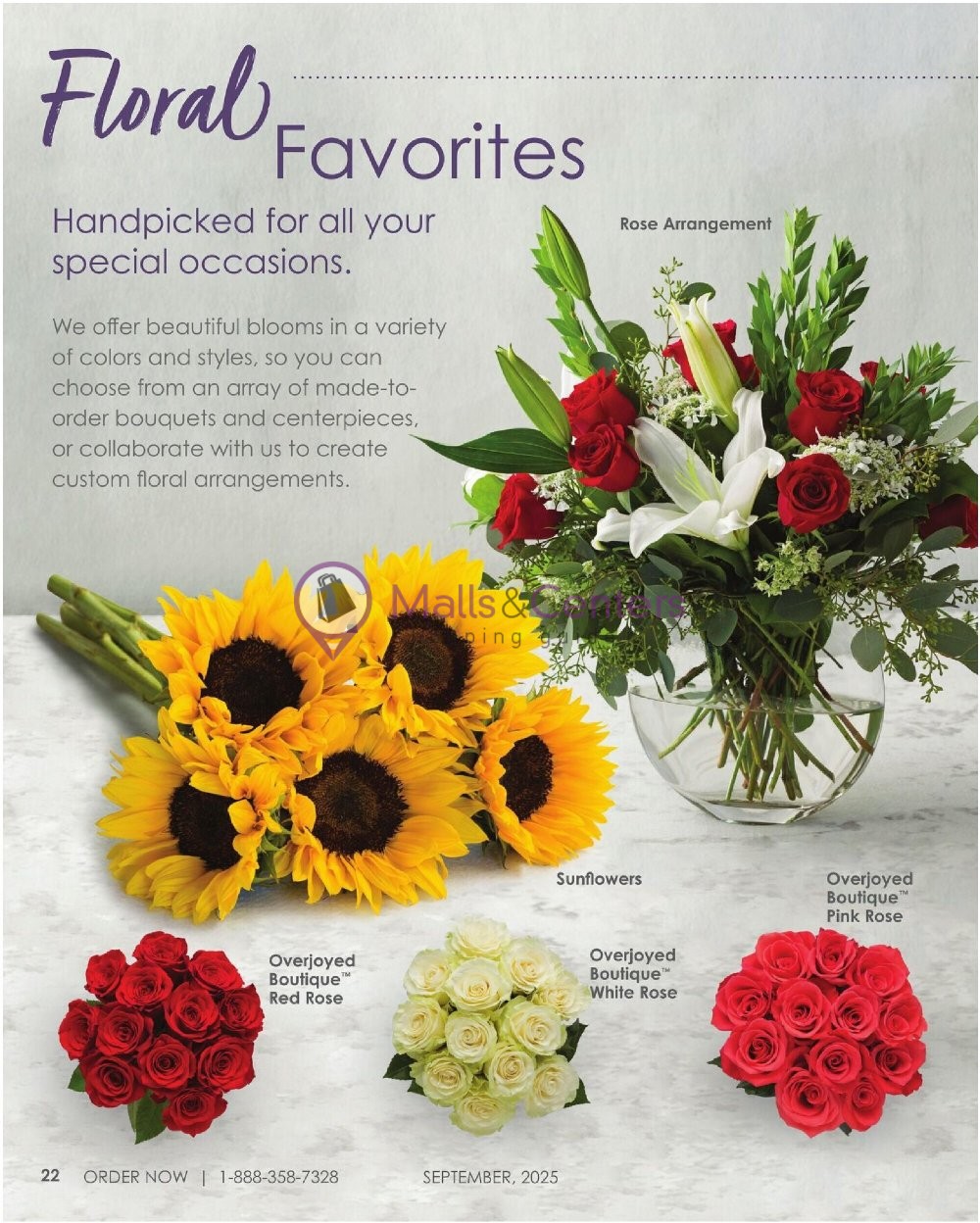 Weekly ad for Albertsons valid: 11/19/2025 - 12/31/2026, page 24