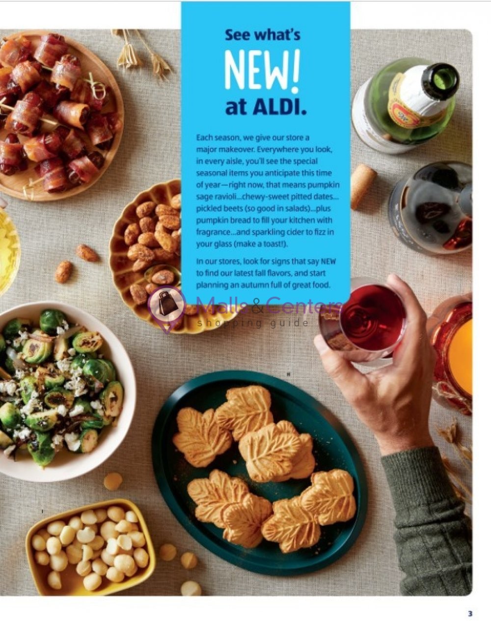 ALDI Weekly Ad sales & flyers specials MallsCenters