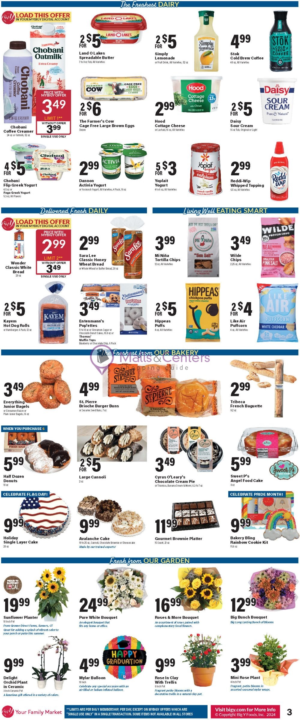 Weekly ad for Big Y valid: 06/13/2024 - 06/19/2024, page 4