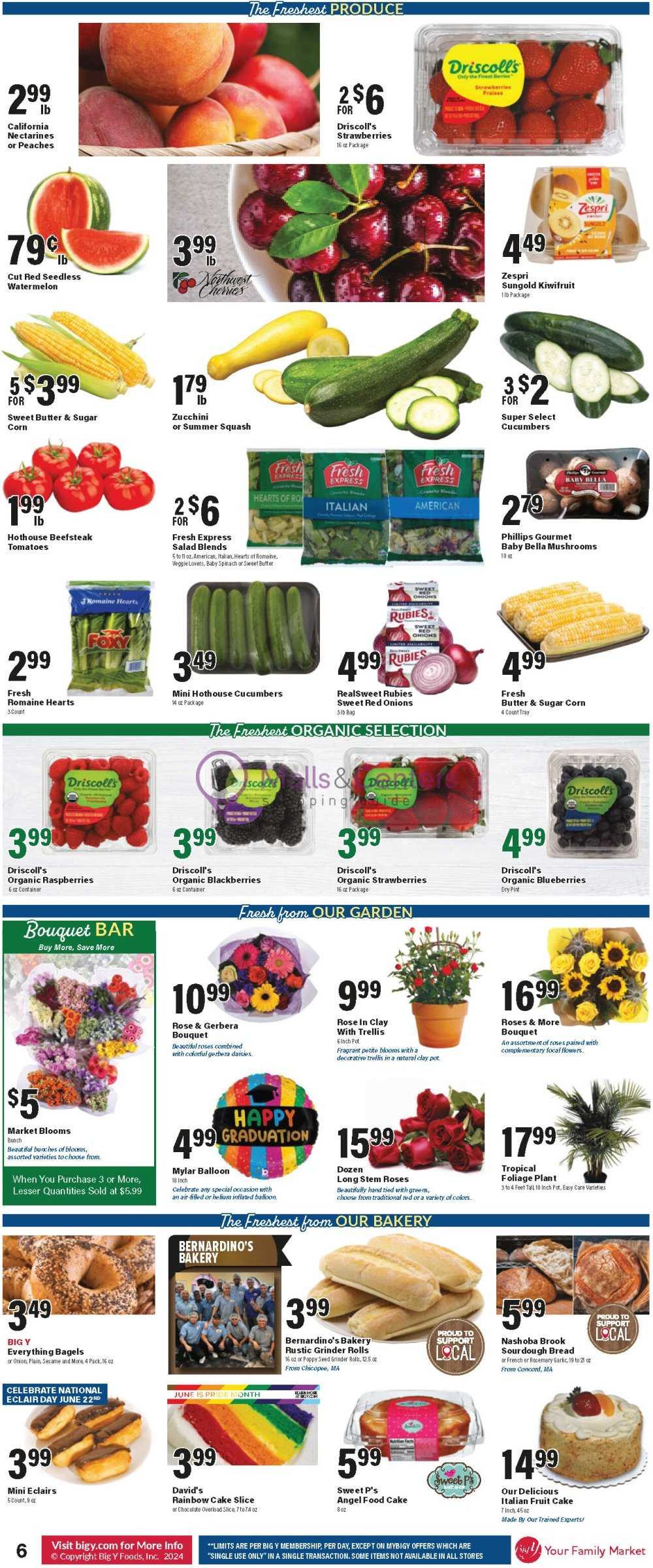 Weekly ad for Big Y valid: 06/20/2024 - 06/26/2024, page 7
