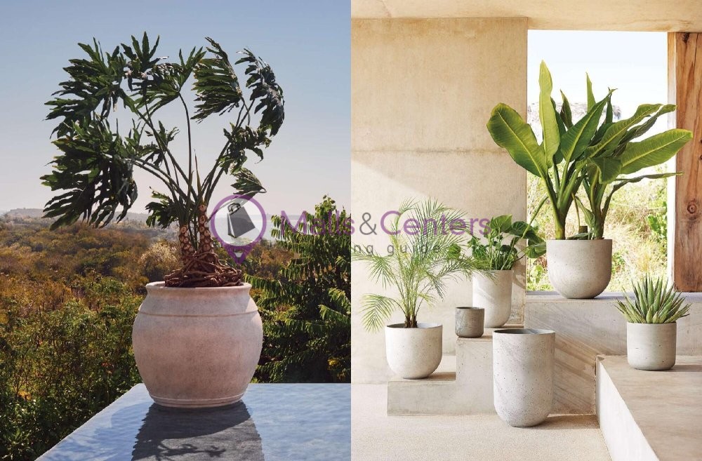 Weekly ad for CB2 valid: 05/01/2024 - 05/31/2024, page 11