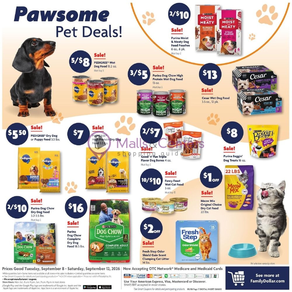 Weekly ad for Family Dollar valid: 09/08/2026 - 09/12/2026, page 13