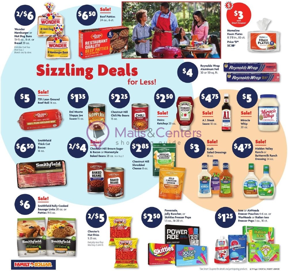 Weekly ad for Family Dollar valid: 06/09/2024 - 06/15/2024, page 2