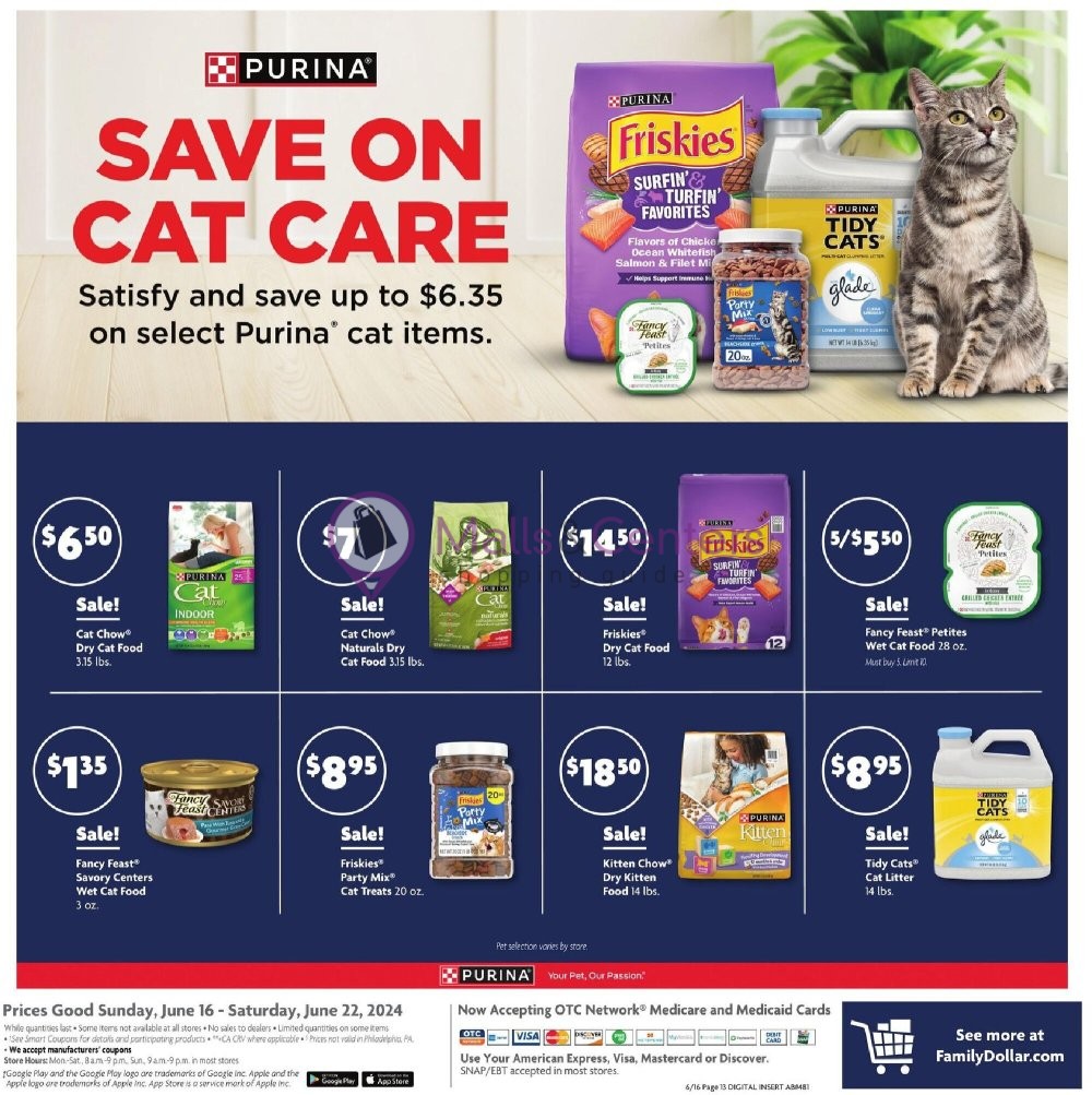 Weekly ad for Family Dollar valid: 06/16/2024 - 06/22/2024, page 15