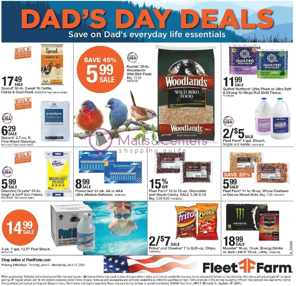 Weekly ad for Fleet Farm valid: 06/06/2024 - 06/12/2024, page 16