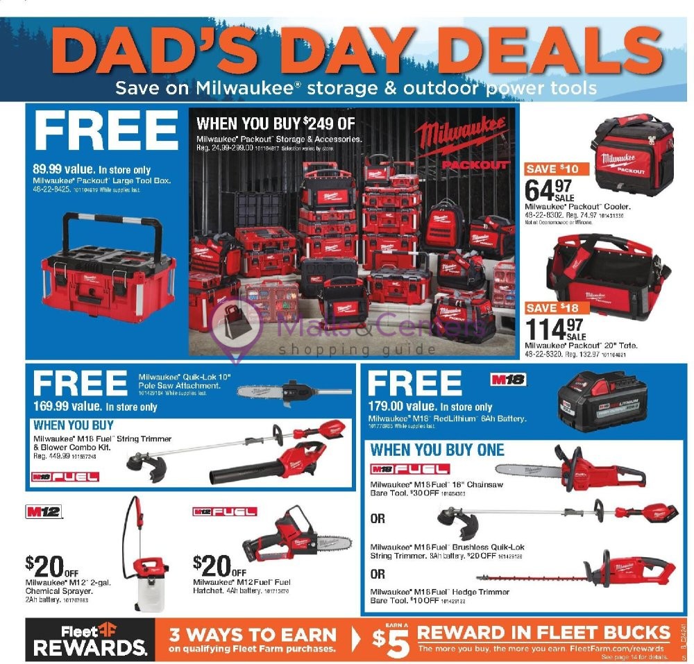 Weekly ad for Fleet Farm valid: 06/06/2024 - 06/12/2024, page 5
