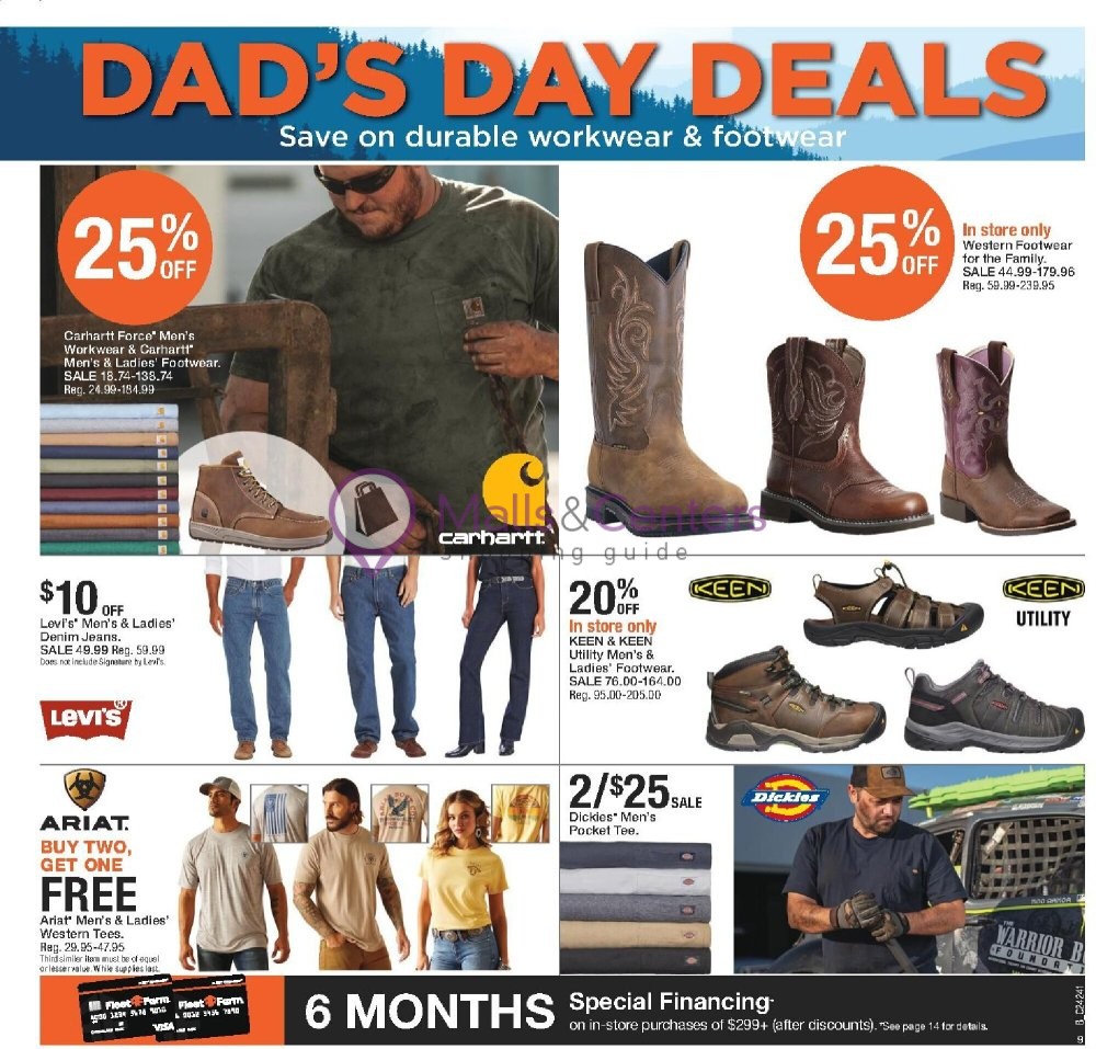 Weekly ad for Fleet Farm valid: 06/06/2024 - 06/12/2024, page 9