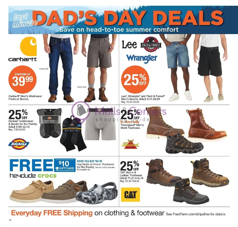 Weekly ad for Fleet Farm valid: 06/13/2024 - 06/19/2024, page 12