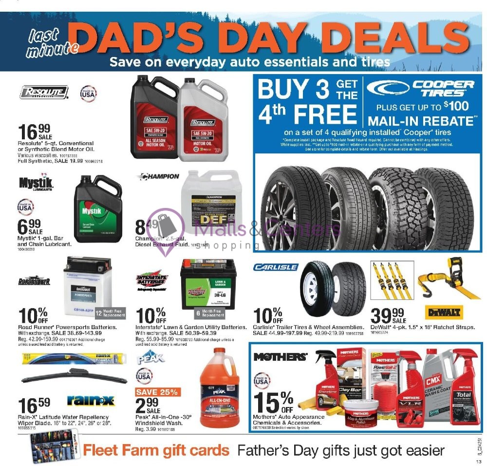 Weekly ad for Fleet Farm valid: 06/13/2024 - 06/19/2024, page 13