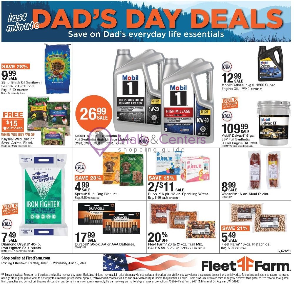 Weekly ad for Fleet Farm valid: 06/13/2024 - 06/19/2024, page 16