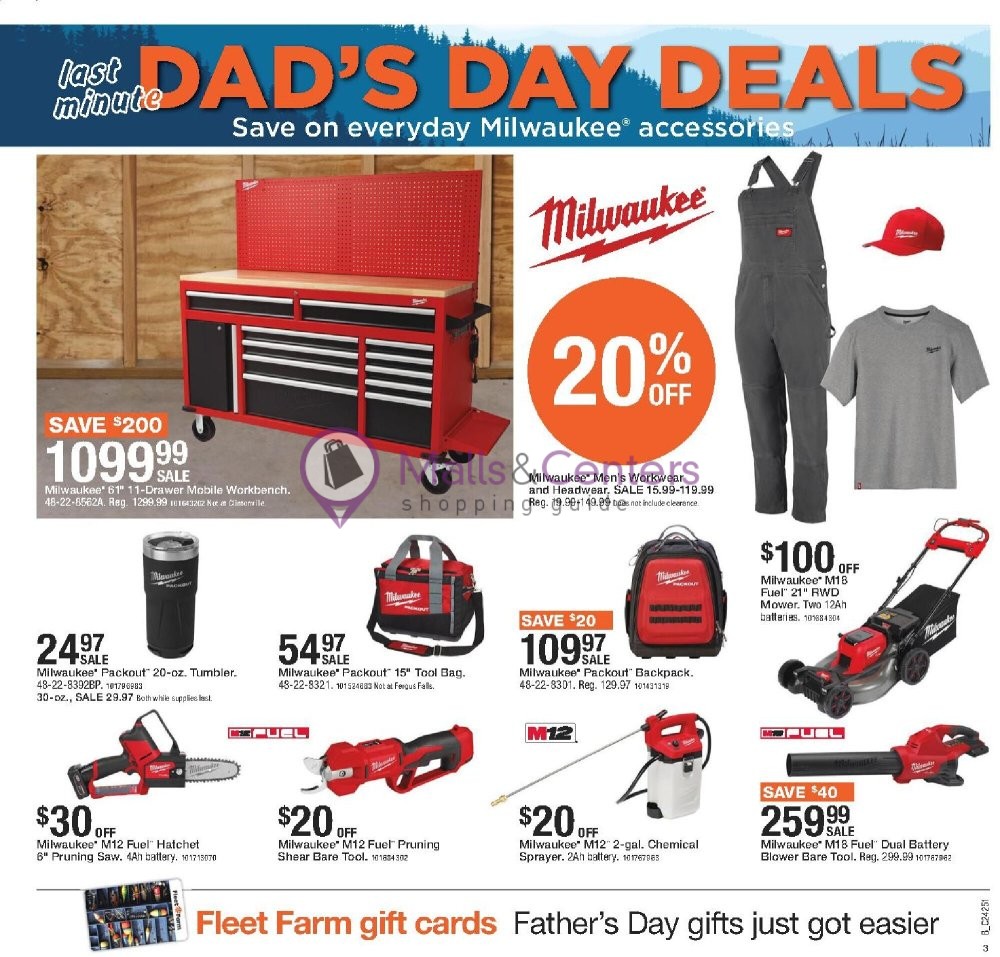 Weekly ad for Fleet Farm valid: 06/13/2024 - 06/19/2024, page 3