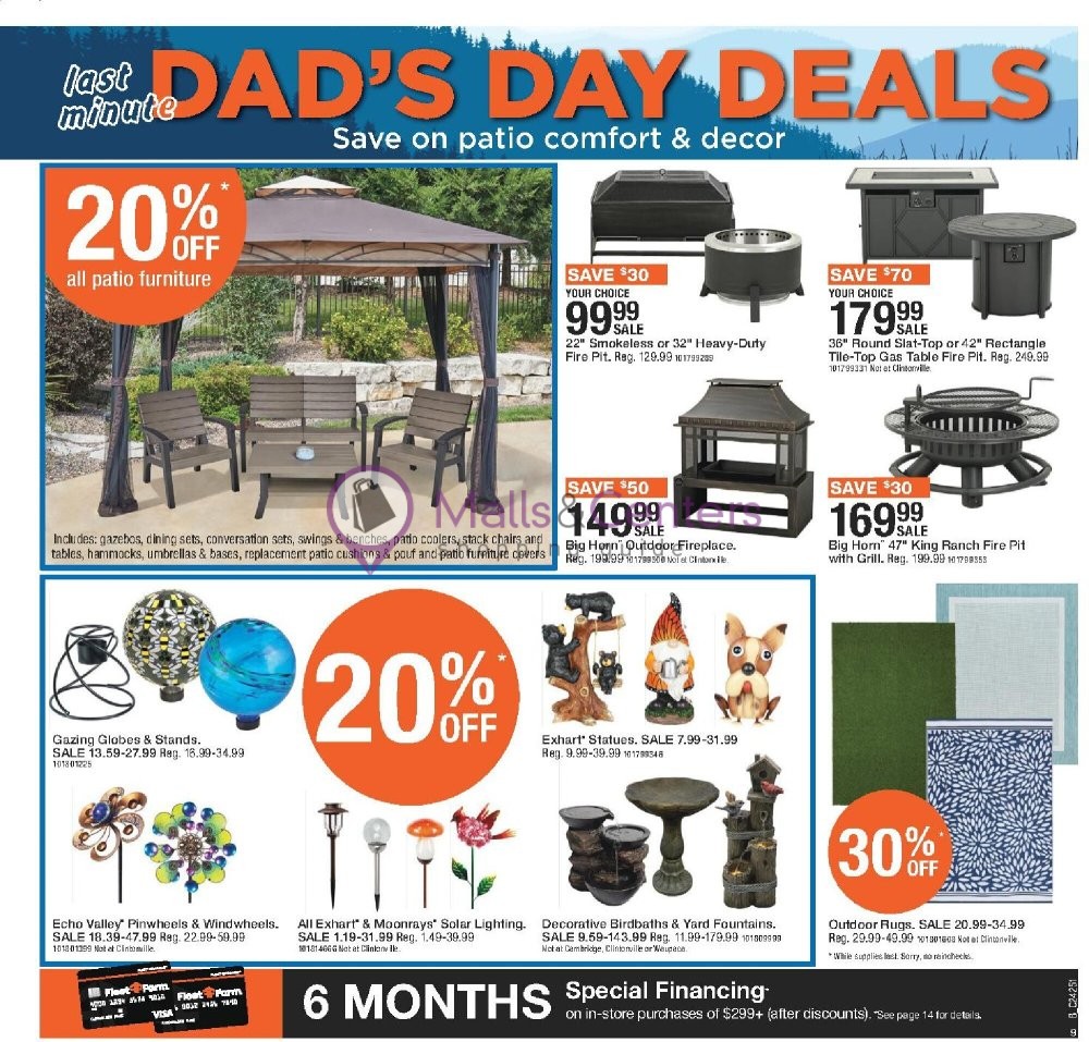 Weekly ad for Fleet Farm valid: 06/13/2024 - 06/19/2024, page 9