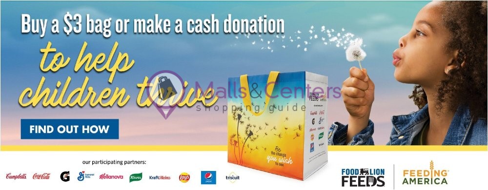 Weekly ad for Food Lion valid: 06/26/2024 - 07/02/2024, page 6