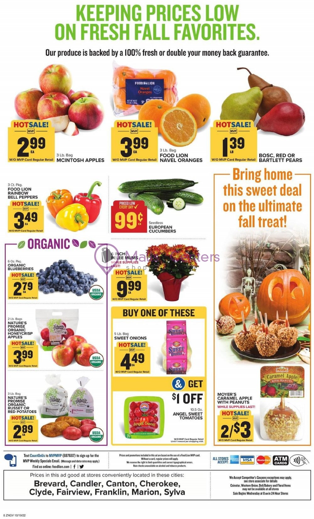 Food Lion Store Hours Easter Sunday at Vonda Moore blog