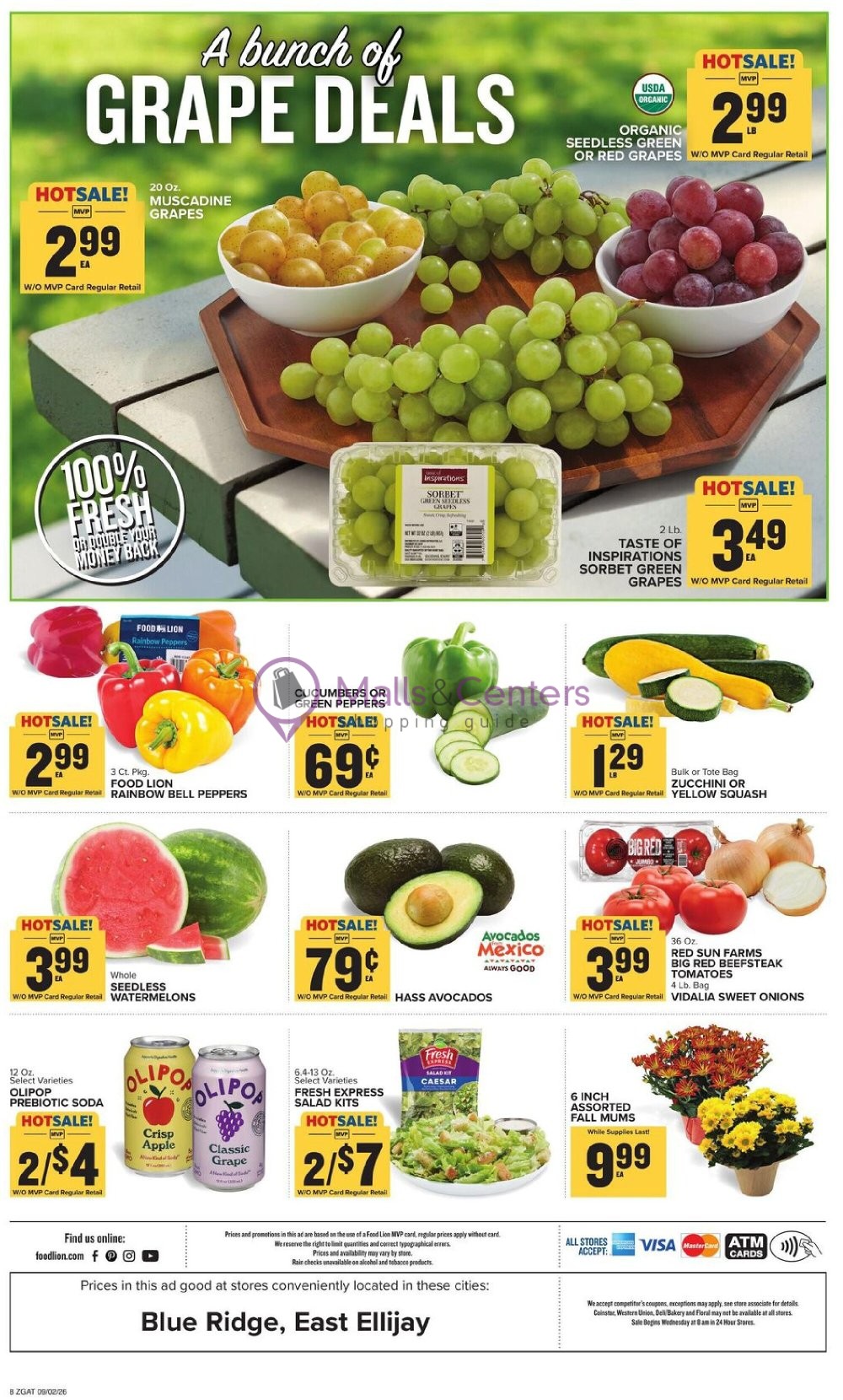 Weekly ad for Food Lion valid: 09/02/2026 - 09/08/2026, page 3