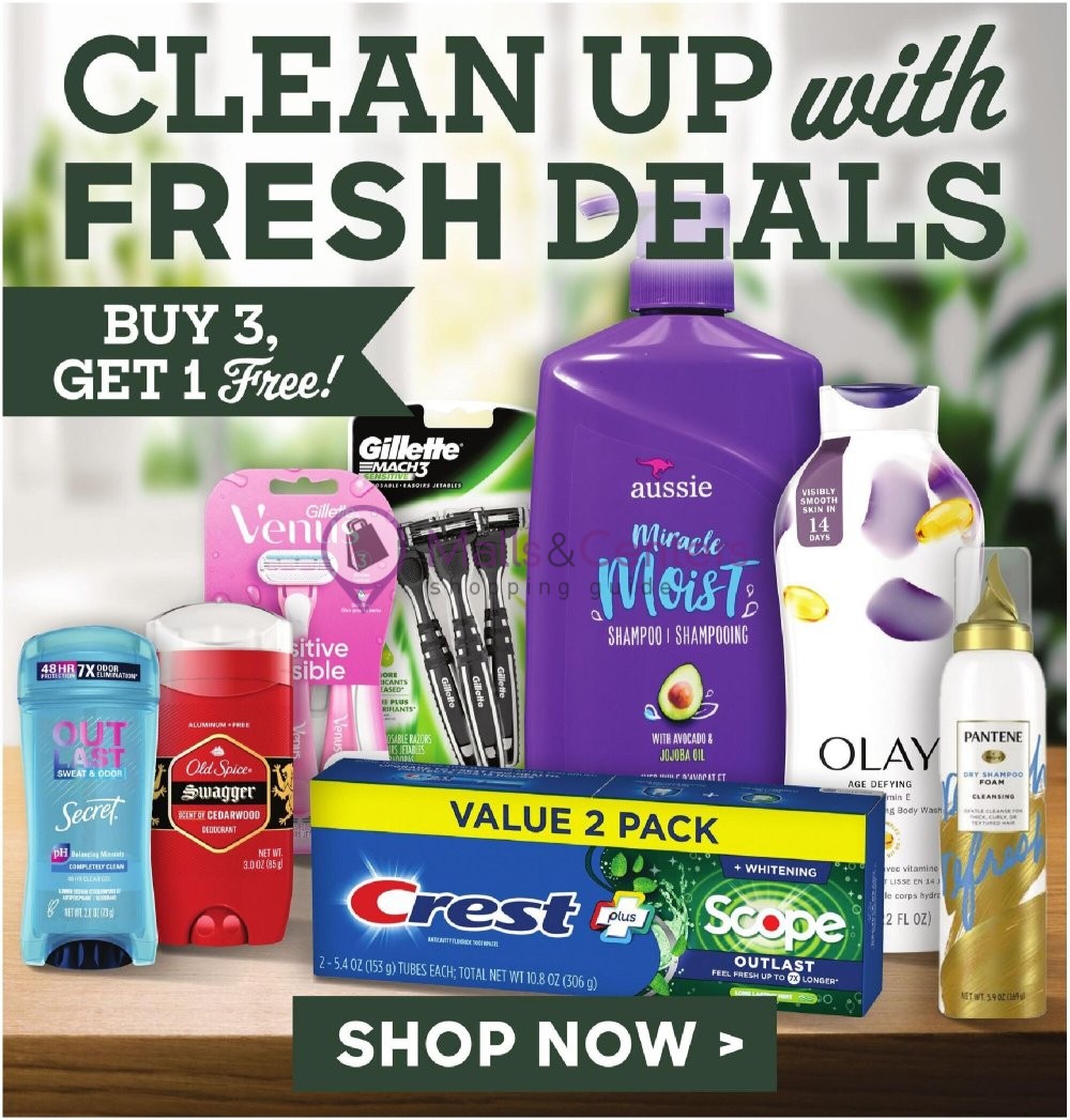 Weekly ad for Lowes Foods valid: 06/19/2024 - 06/25/2024, page 18