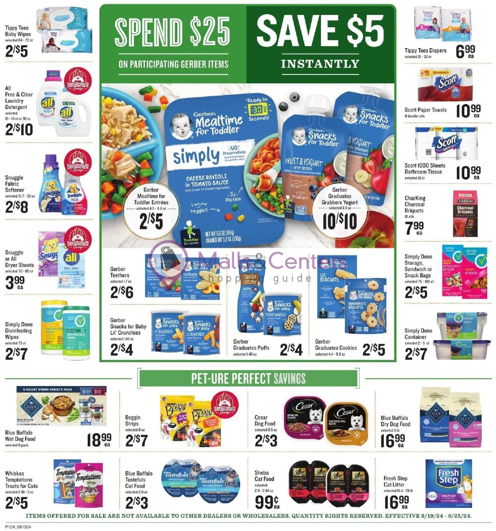 Weekly ad for Lowes Foods valid: 06/19/2024 - 06/25/2024, page 19
