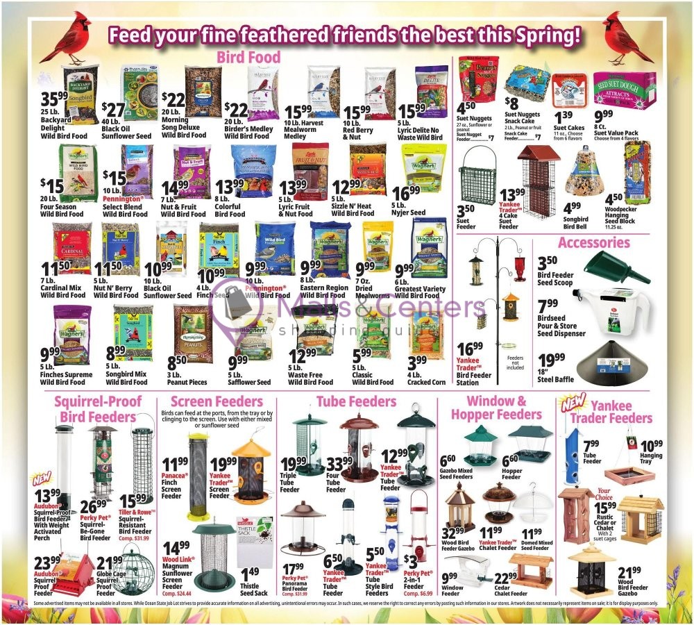 Weekly ad for Ocean State Job Lot valid: 06/11/2026 - 06/17/2026, page 13