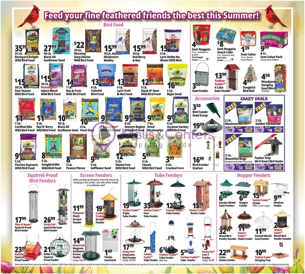 Weekly ad for Ocean State Job Lot valid: 09/17/2026 - 09/23/2026, page 14