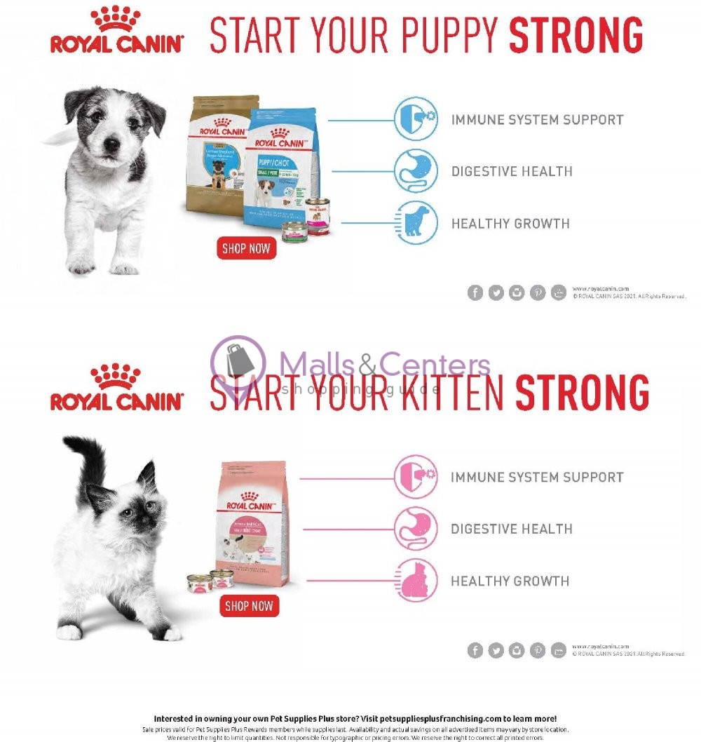 pet supplies plus flyer