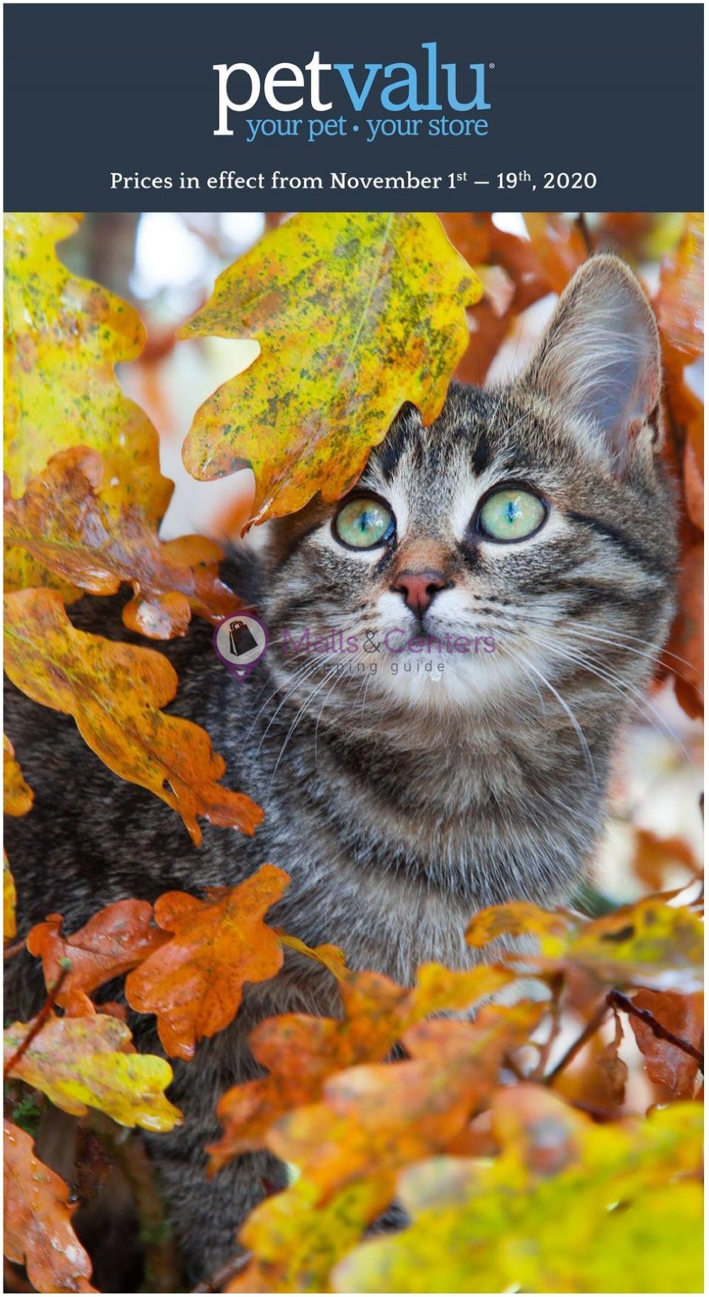 Pet Valu Weekly ad valid from 11/01/2020 to 11/19/2020 MallsCenters