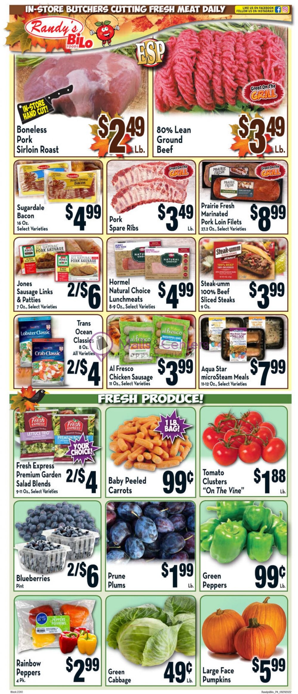 Randy's BiLo Foods Weekly ad valid from 09/29/2022 to 10/05/2022